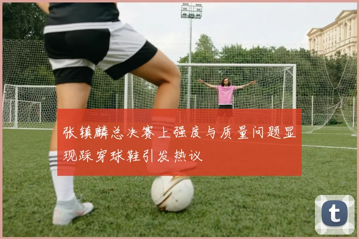 张镇麟总决赛上强度与质量问题显现踩穿球鞋引发热议