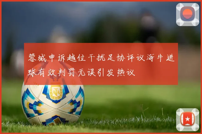 蓉城申诉越位干扰足协评议海牛进球有效判罚无误引发热议