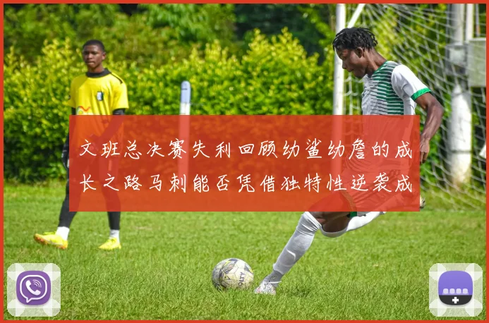 文班总决赛失利回顾幼鲨幼詹的成长之路马刺能否凭借独特性逆袭成功