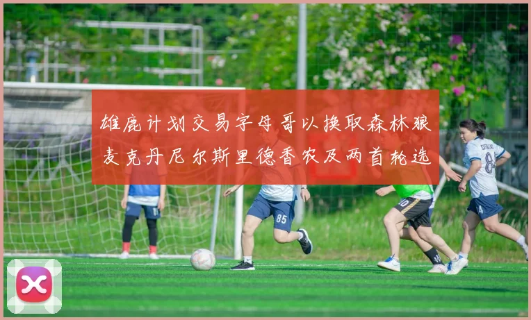 雄鹿计划交易字母哥以换取森林狼麦克丹尼尔斯里德香农及两首轮选秀权